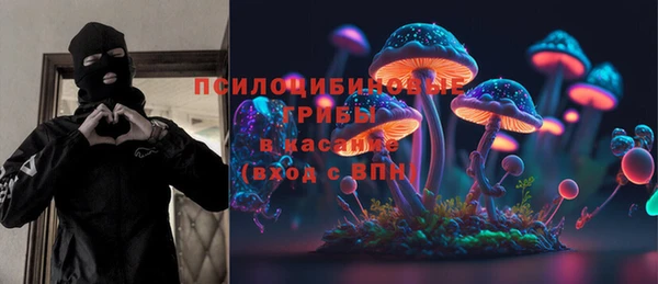 a pvp Аркадак