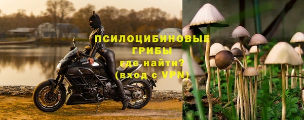 экстази Арсеньев