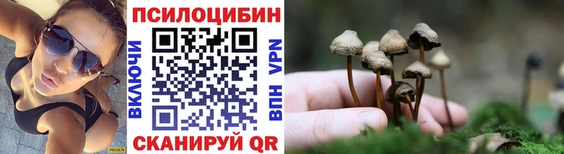 Псилоцибиновые грибы Magic Shrooms Покровск