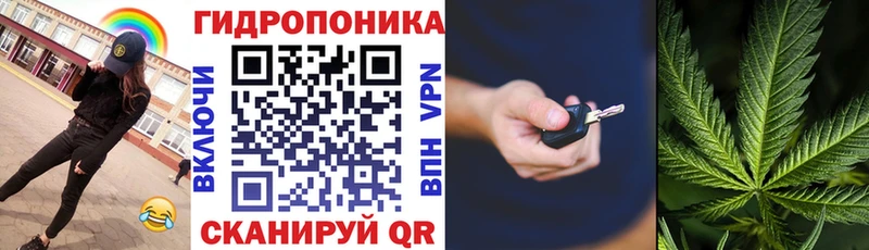 Бошки марихуана план  МЕГА ТОР  Покровск  магазин продажи  
